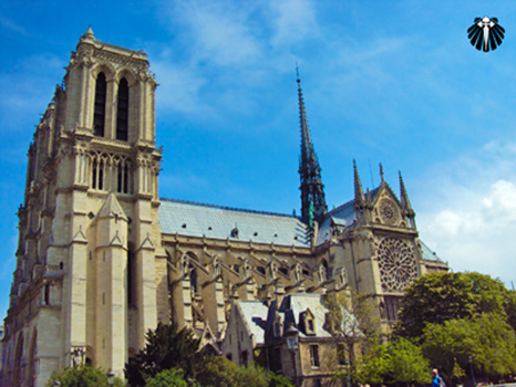 Catedral de Notre Dame. Thumb
